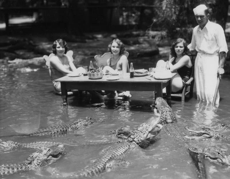 Three women sit at a table in shallow water with drinks and a basket, while several alligators swim nearby. A man in a chef's hat stands beside them. The scene appears relaxed yet surreal, combining elements of leisure and danger.