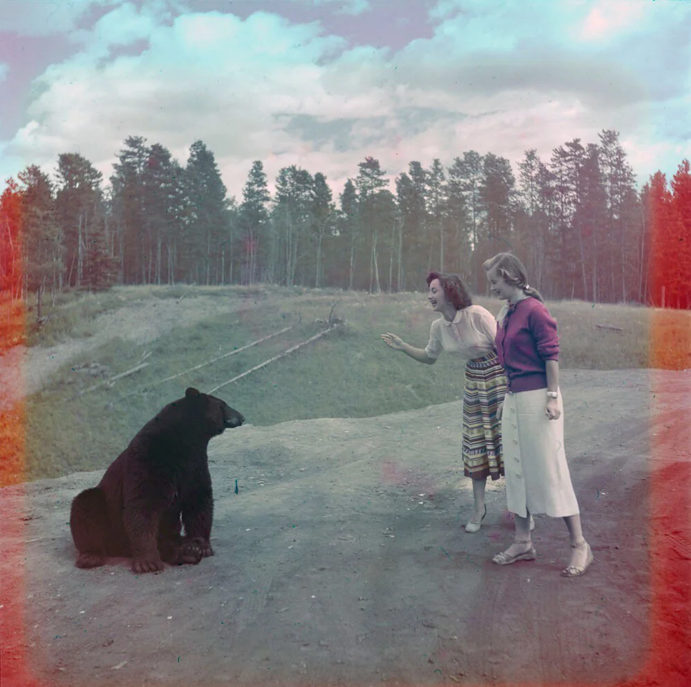 Two women stand on a dirt path interacting with a seated bear. One woman gestures toward the bear, while the other watches with curiosity. Behind them, a forest of tall trees under a partly cloudy sky. The image has a vintage, colorized look.