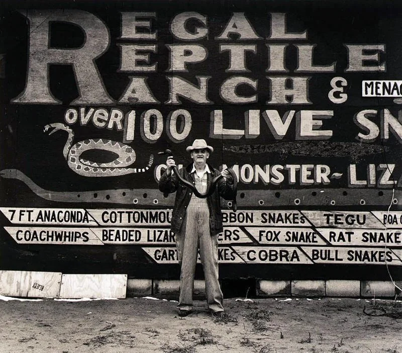 A person wearing a hat and holding two snakes stands in front of a large sign that reads, "Regal Reptile Ranch & Menagerie" with depictions of snakes and text advertising various species. The area appears rustic and outdoors.