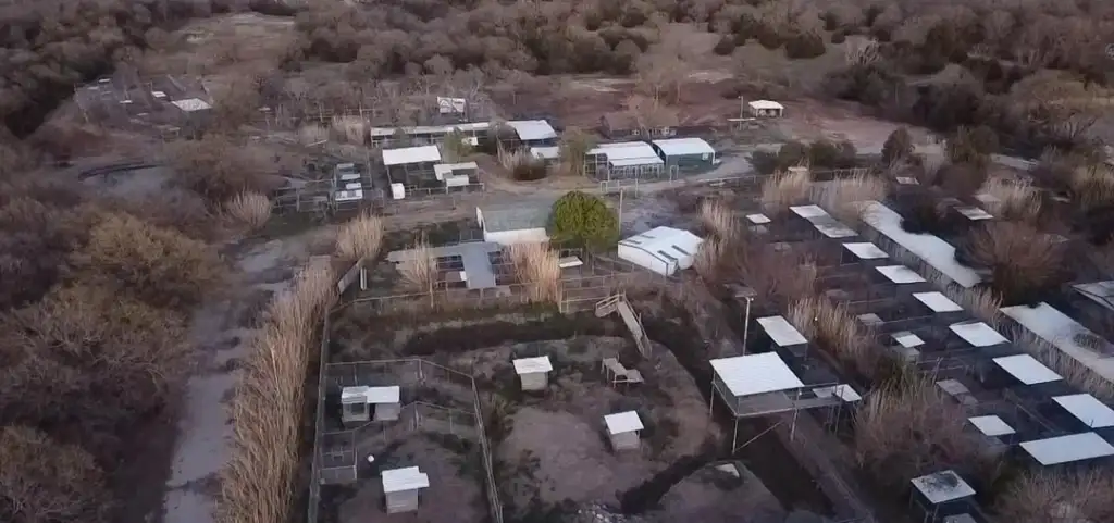 Aerial view of a wildlife sanctuary with numerous enclosures and pathways. The area is surrounded by vegetation, and several structures with white roofs can be seen scattered across the landscape.