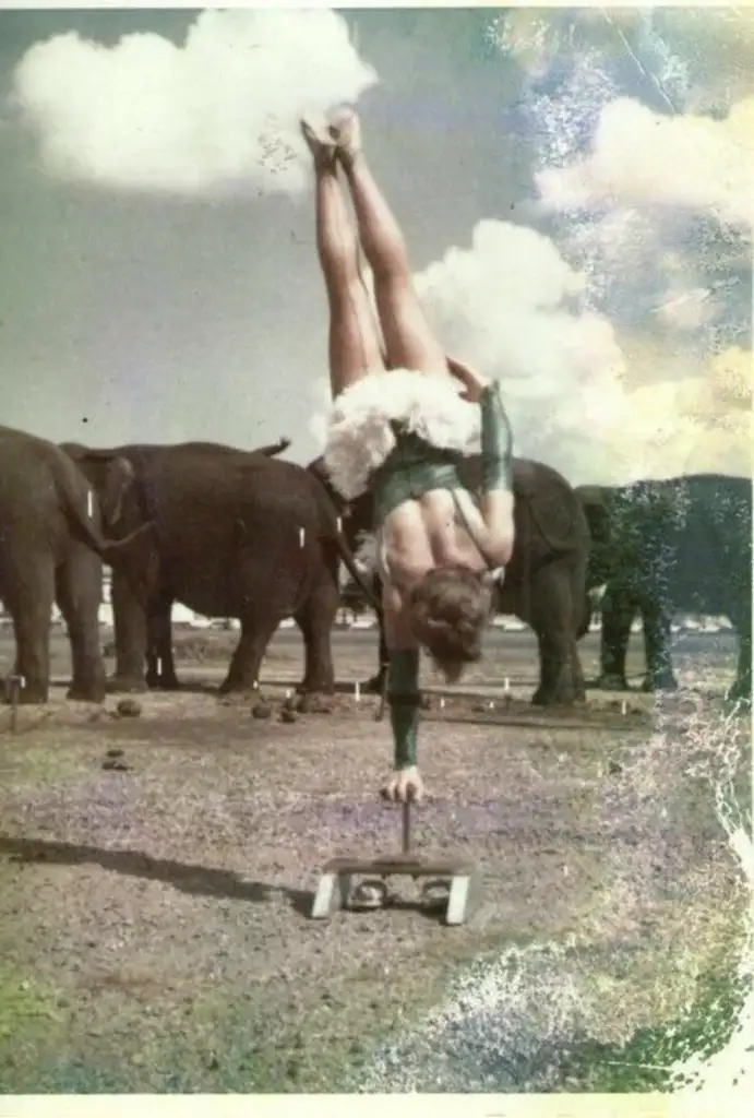 A performer balances on one hand on a small platform in a field, wearing a tutu-like outfit. Elephants stand in the background under a cloudy sky. The image has a vintage, worn appearance.