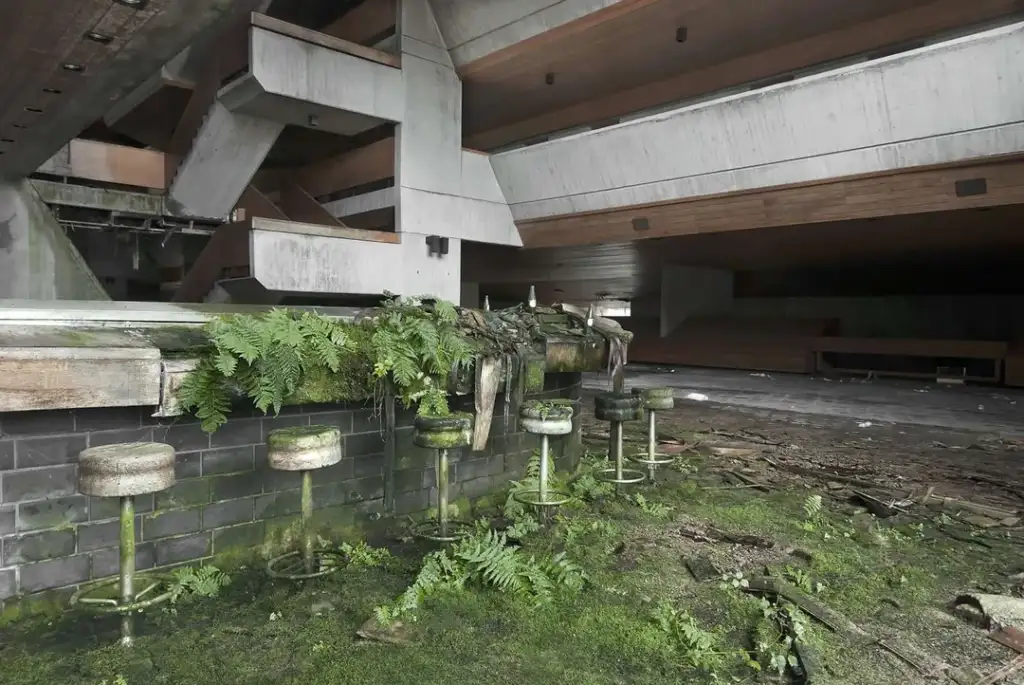 Abandoned interior with moss-covered floor and ferns growing over a bar counter. A row of weathered bar stools leads to a large, gray, concrete staircase. The scene is lit by natural light filtering through unseen windows, creating an eerie atmosphere.