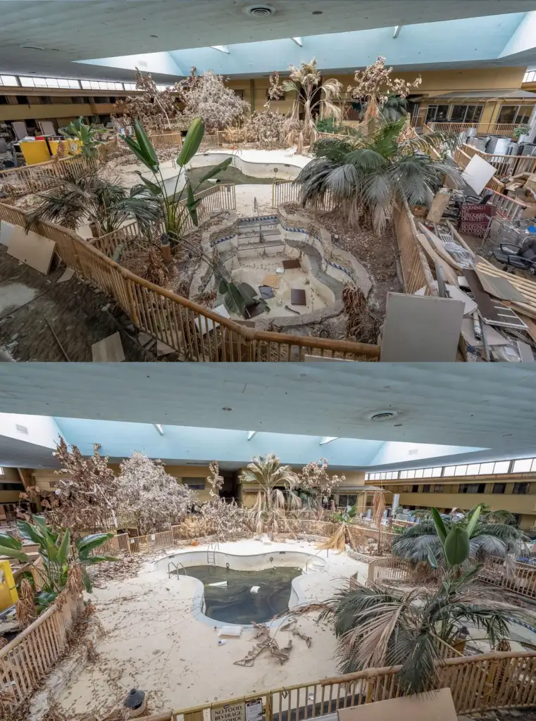 Abandoned indoor swimming pool area with dry, overgrown plants and debris scattered around. The pool is empty and partially filled with dirt. The ceiling has some lighting fixtures, and sunlight filters in from windows. Overall, the space is neglected.