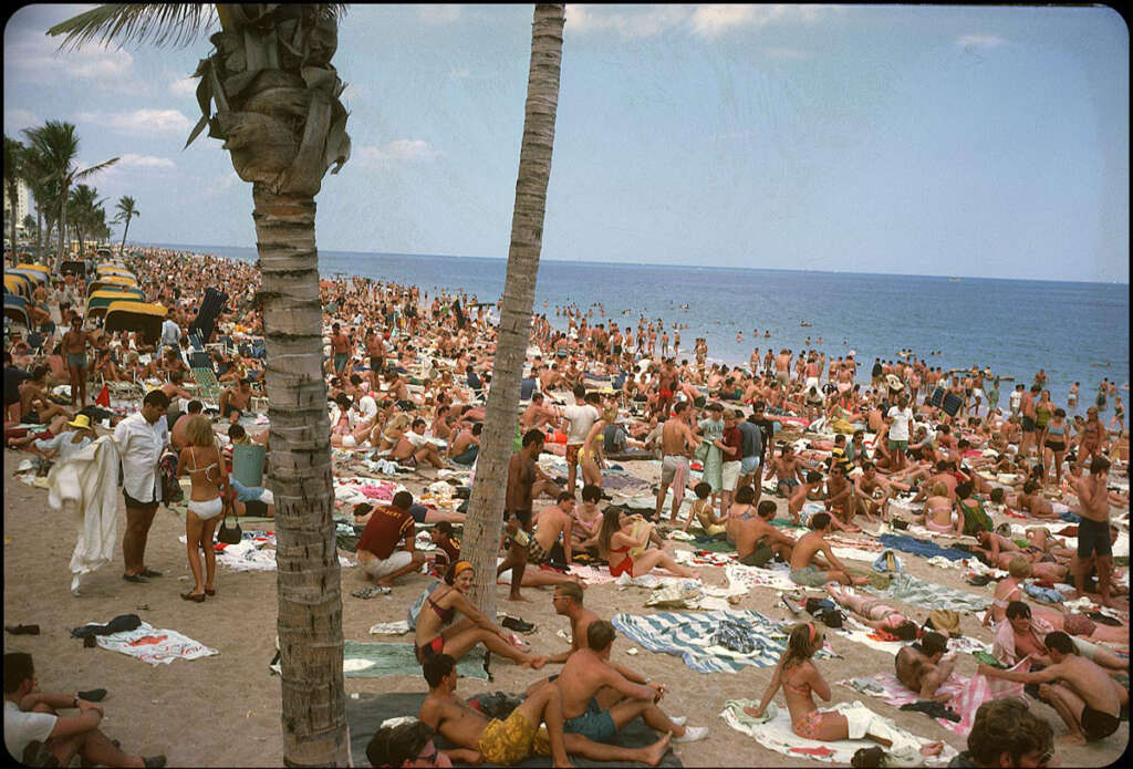 Crowded beach scene with numerous people lounging on towels under a clear sky. Palm trees are scattered among the sunbathers, and the ocean is visible in the background. Some people are walking while others relax on the sand.