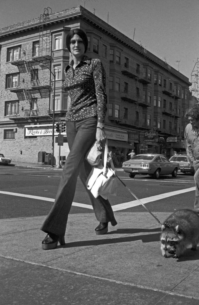 A person walks across a city street holding a shopping bag and leash attached to a raccoon. They're wearing bell-bottoms and a patterned shirt. A vintage car and brick building are in the background.