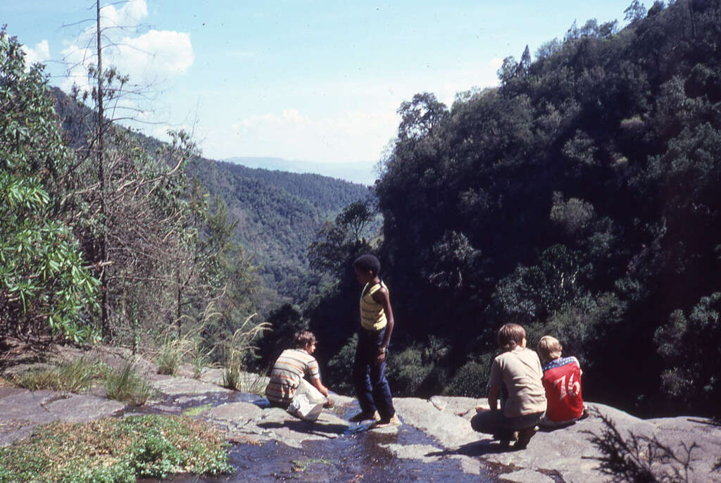 Four children sit and play on a rocky ledge overlooking a lush, forested valley. The sky is clear with a few clouds, and the group appears relaxed, taking in the scenic view.